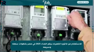 للاستعلام عن فاتورة الكهرباء برقم العداد 2025 في مصر بخطوات سهلة وسريعة